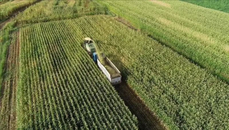 2025 Mazot ve Gübre Desteği Ödemeleri: Güncel Durum ve Bilgiler