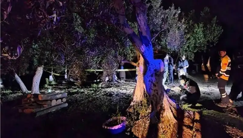 Çiftlikteki Baltalı Vahşet Olayında Şok Gelişme: Bir Kişi Tutuklandı