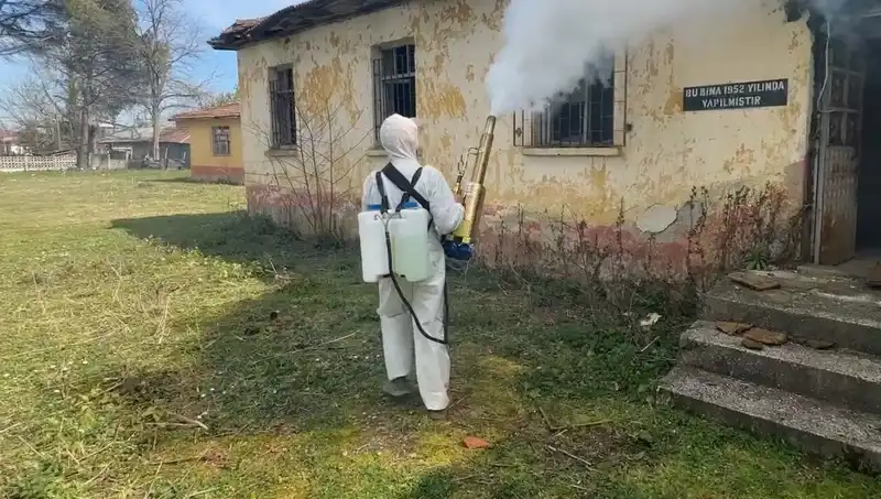 Çiftçiler Kahverengi Kokarca ile Savaşta: Çözüm Yolları ve Mücadele Stratejileri