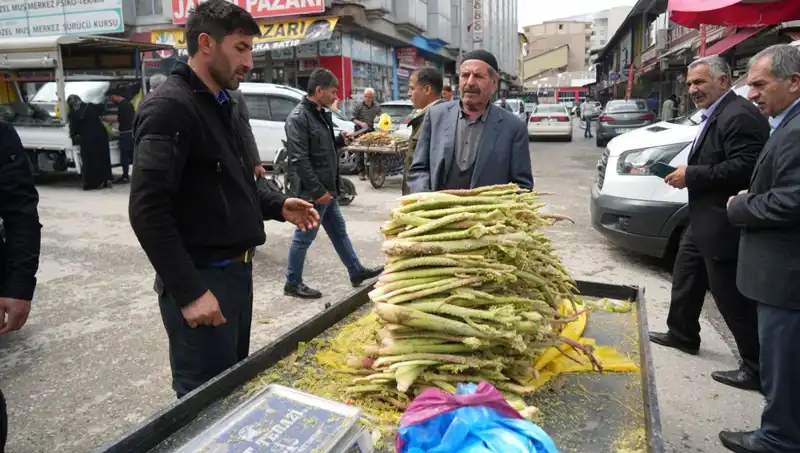 Dağlık Alanların Şifa Kaynağı: Şekerin Mide Hastalıklarına ve Kanser Üzerindeki Faydaları