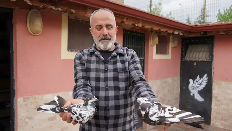 42 Yıllık Hobi Profesyonel Tesise Dönüştü: İl Dışından Yoğun Talep