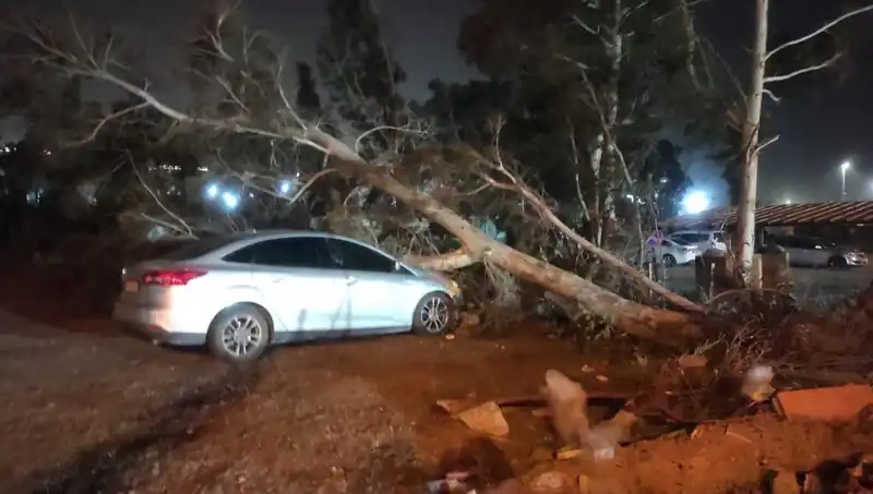 Hatay'ı Vuran Fırtına: Tekneler Alabora, Ağaçlar Devrildi!