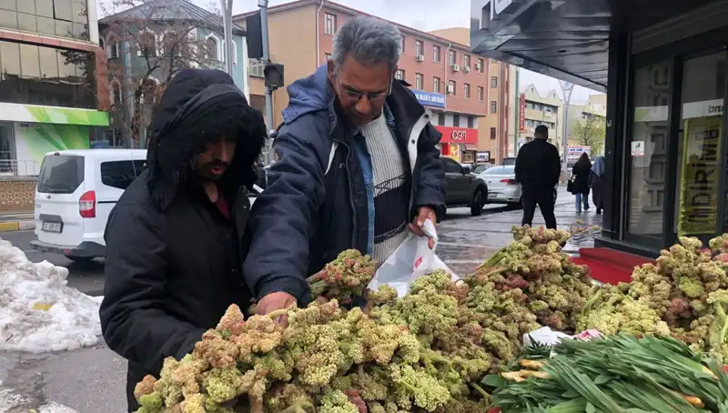 Dünyayı Sarsan Yeni Vitamin Deposu: Kanserle Mücadelede Umut Işığı