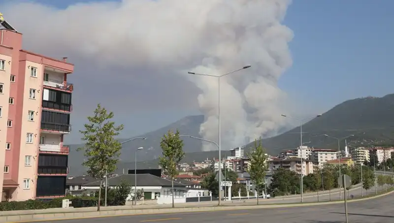 Denizli'de Korkutan Orman Yangını: Şüpheli Gözaltına Alındı
