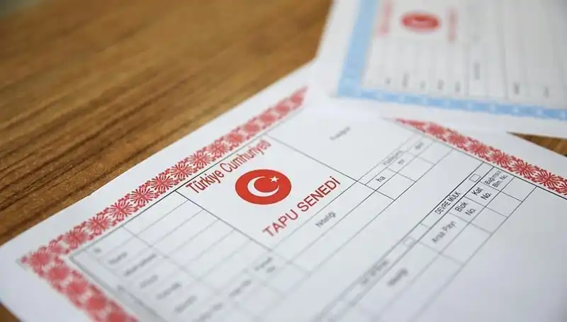 Hisseli Tapu Tuzağı: 100 Milyonluk Dolandırıcılık Aydınlatıldı