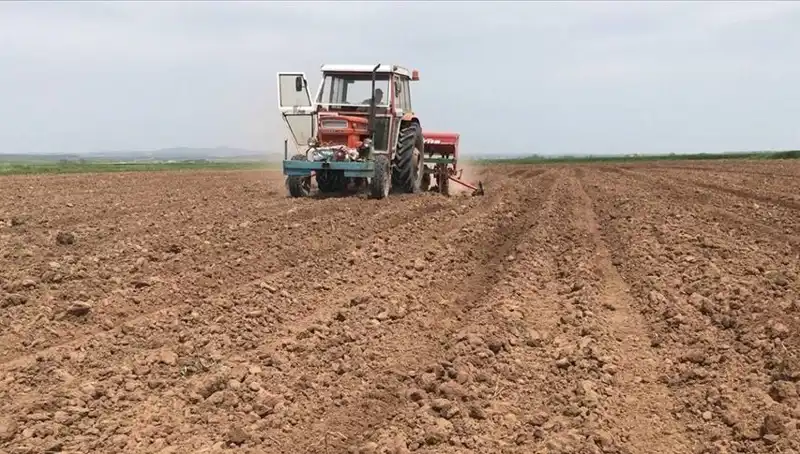 Son 35 Yılda Görülen En Kurak Mart Ayı: Yağış Miktarı Yüzde 59 Azaldı
