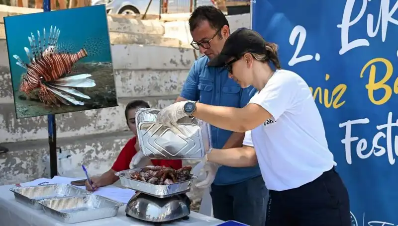 Antalya'da Gördüğünüz En İlginç Balık Avı Yarışması: Aslan Balığı Avı