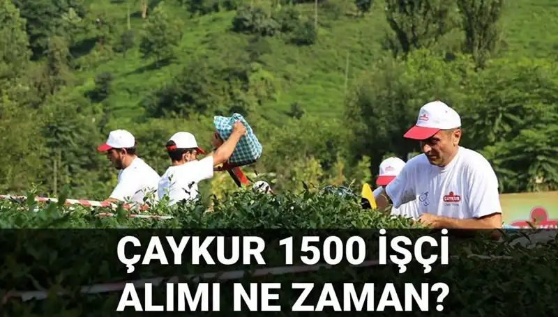 Çaykur İşçi Alımı İçin Başvuru Tarihleri Belli Oldu mu? İşte Son Durum!