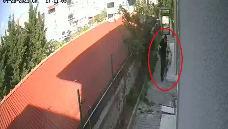Veteriner Doktor, Sahiplendiği Köpekleri Parçalayıp Öldürdü: Şok Edici Olay