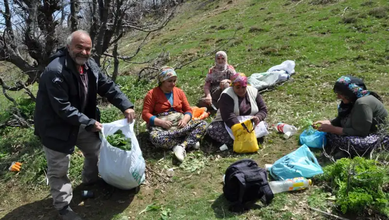 Yüzlerce Aileyi Geçindiren Mucize: 5 Saat Yol Yürüyüp Topluyorlar!