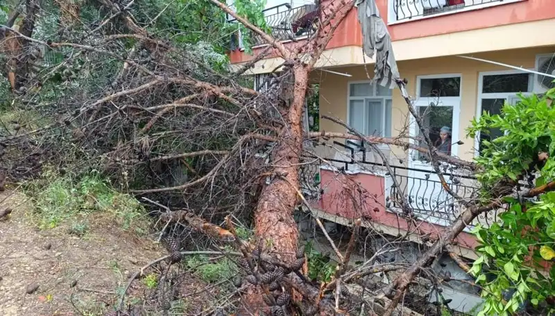 Yağmur Krizi: Bina Aşırı Yağışa Dayanamayarak Yıkıldı