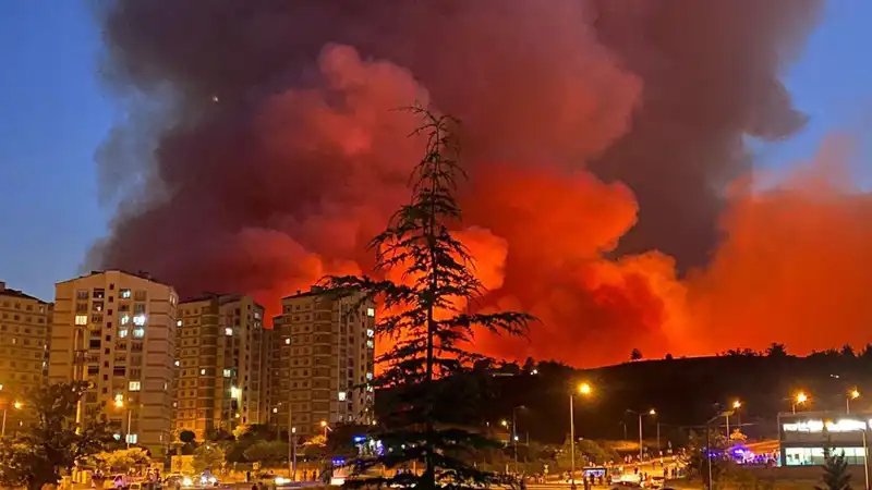 Bursa’da Yangın Alarmı: Şehrin Dört Bir Yanında Alevler Yükseliyor